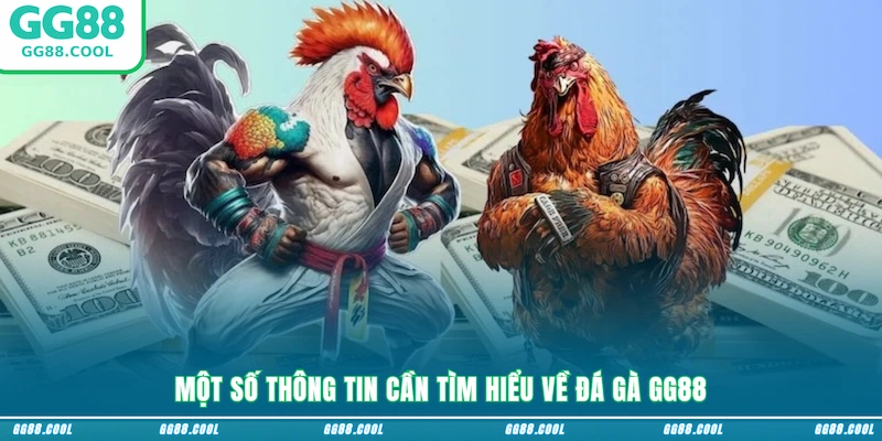 Một số thông tin cần tìm hiểu về đá gà GG88