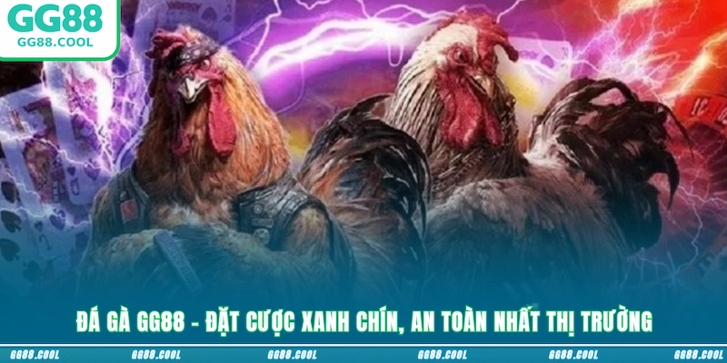 Đá Gà GG88